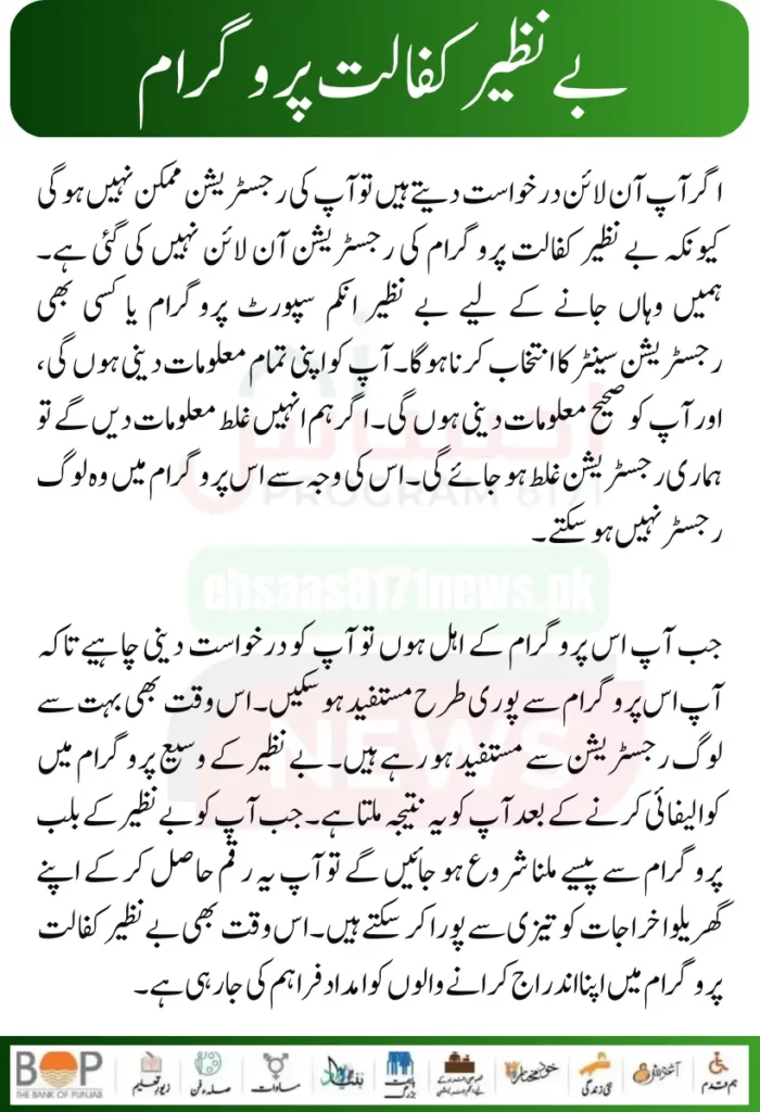 Punjab Government Launches Solar Panels Project for 50000 Eligible Families 26