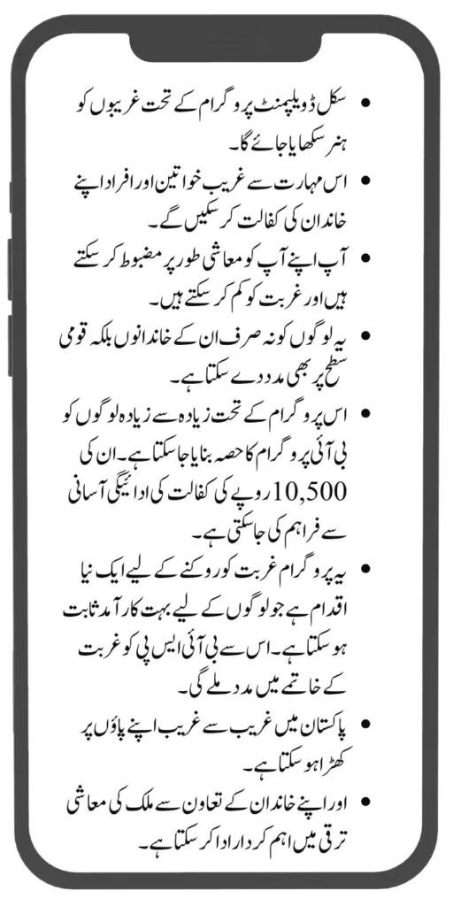 BISP Skill Development Program