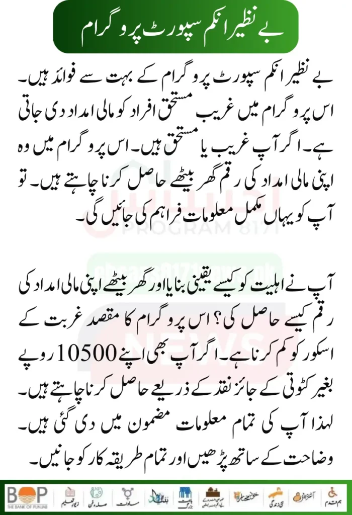 Punjab Government Launches Solar Panels Project for 50000 Eligible Families 9 2