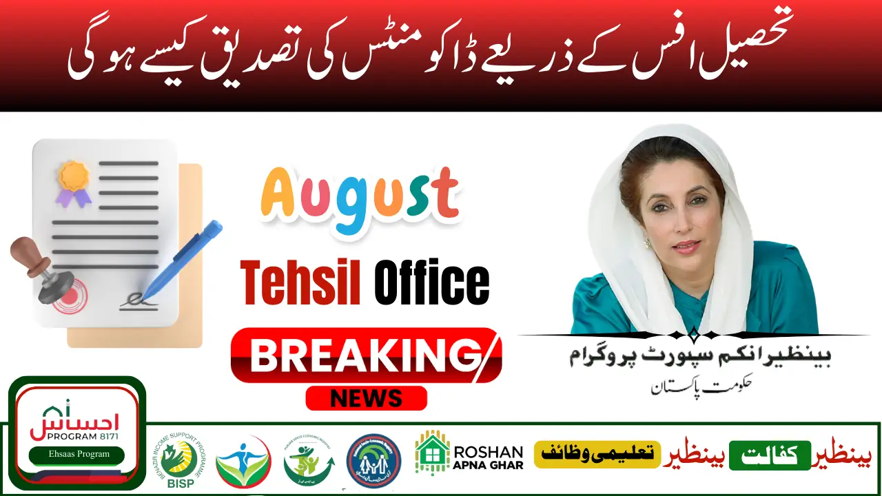 BISP 8171 Payment Verification Process Start 2025 Through the BISP Tehsil Office